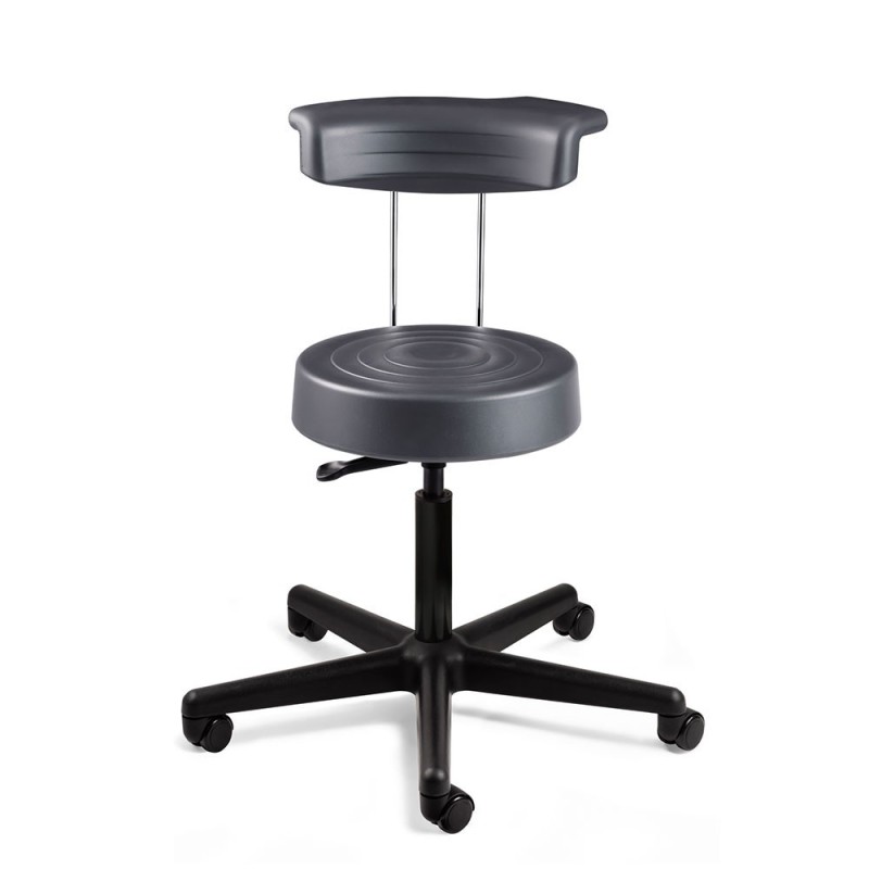 ErgoLux w/Backrest